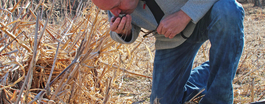 Expanding Our Landscapes of Possibility