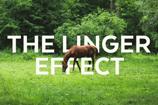 The Linger Effect